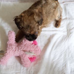 Meet your Posher, Deborah